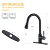 Black Kitchen Sink Faucets with Pull Down Sprayer, Single Handle