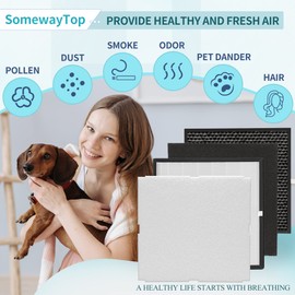 MinusA2 Filters Replacement Kit Compatible with Filter Replacement MinusA2, SPA-700A SPA-780A SPA-780N 2 Efficient Filter 2 Odor Remover 2 Carbon and 2 Pre-filter, [Odor Remover] 2-Set