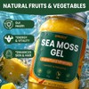 Sea Moss Gel, Mango Pineapple 18.5 oz, Superfood - 92