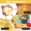 Wesome Lighting 250 Watt Heat Lamp Bulbs for Chickens, PAR38