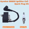 Hyceker Ignition Coil Spark Plug Kit For Stihl BR800 BR800X