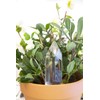 Kikkerland Hand Blown Glass Self Watering Stake for Potted Plants