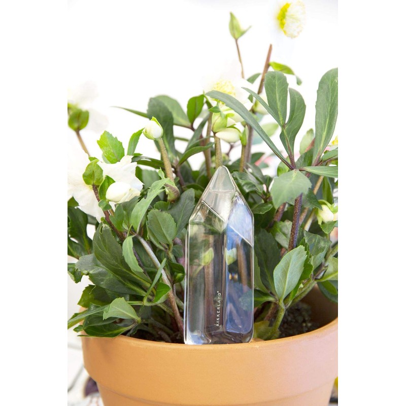 Kikkerland Hand Blown Glass Self Watering Stake for Potted Plants