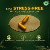 Zandu Ashwagandha Gold Plus 60 Cápsulas