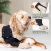Suitical Recovery Sleeve for Dogs | Front Leg Protection After