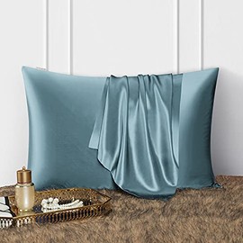 DISANGNI 100% Natural Mulberry Silk Pillow Case for Hair and Skin with Hidden Zipper 22 Momme Both Sides Real Silk Pillow Case (1pc Queen Size 20" x30", Blue Gray)