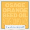 Osage Orange Seed Oil - Deodorized