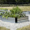 Grapevine Galvanized Steel Raised Garden Bed, Rectangular, 2-Tone