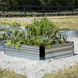Grapevine Galvanized Steel Raised Garden Bed, Rectangular, 2-Tone
