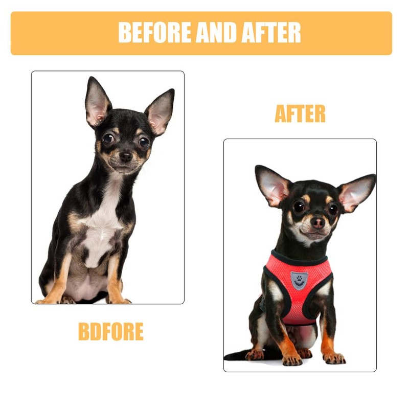 FFWTPY Dog Harness Soft Padded Dog Harness Air Mesh Breathable