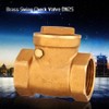 Check Valve 1 Inch DN25 Female Thread Brass Check Valves