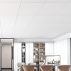 Art3d 12-Pack Smooth Drop Ceiling Tile 2ft x 2ft -
