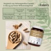 Vitaler's Ashwagandha 9% Extract 600 mg - 60 Capsules, Vegan,