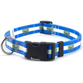El Salvador Dog Collar | El Salvador Flag | Martingale Slip-On | Made in NJ, USA | for Extra Large Dogs | 1 inch Wide