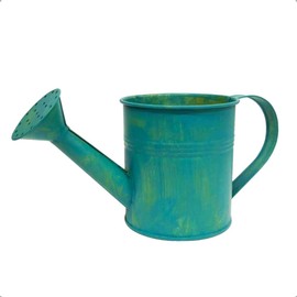 Better Crafts Metal Watering Can