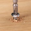 #8 x 3/8" Wood Screw 100Pcs Truss Head Phillips 18-8