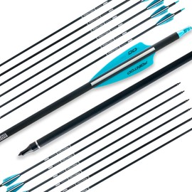 Pointdo 28"/30"/32inch Carbon Arrow Practice Hunting Arrows with Removable Tips for Compound & Recurve Bow(Pack of 12) (2Lake Blue&White, 28inch)