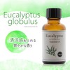 100% Natural Eucalyptus Globbles Oil 30ml Aroma Oil Eucalyptus