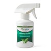 Medline MSC092308H Remedy Phytoplex Cleansing Body Lotion, 8oz.