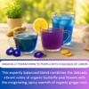 Organic Butterfly Pea Flower and Spicy Ginger Root 20 Tea