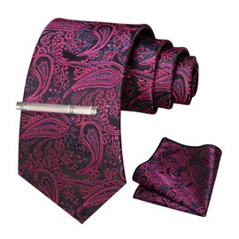 RBOCOTT Paisley Tie Pink Necktie and Pocket Square with Tie Clip Sets for Men（18）