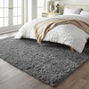 Ophanie Living Room Rugs 5x8 Grey, Fluffy Shag Fuzzy Plush