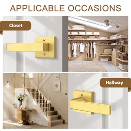 Probrico 2 Pack Gold Dummy Door Handles,Modern Closet Door Levers,Heavy Duty Interior Non-Turning Handle Reversible for Right & Left Handed Side