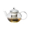 Trendglas Jena MIKO Teapot in Classic Design with Stainless Steel