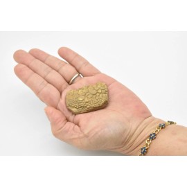 Safari Dinosaur Skin Fossil Plastic Replica Hadrosaur  1 7/8 inches long - F4100 B96 - LIGHTER ROCK