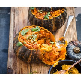 TomorrowSeeds - Burgess Buttercup Squash Seeds - 20+ Count Packet - for 2024 Green Pumpkin Japanese Kabocha Winter Blue Gourd Non GMO Winter