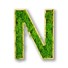 Acryltypo Moosly® Wooden Letter - N - with Wooden Frame, Moss Decorative Letters Sign Symbol Number - Wooden Letter with Real Iceland Moss - Wall Pictures Living Room Decoration Wall Pictures Living
