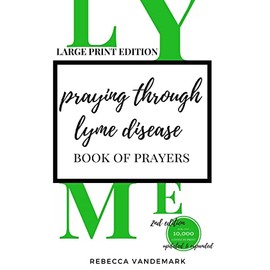 Praying through Lyme Disease (Large Print Edition)
