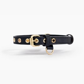Two Tails Pet Company Cactus Leather Dog Collar - Eco-Friendly, Stylish, Easy-to-Clean Pet Collar with Gold Hardware, D-Rings for Leash & ID Tag (Large, Black)