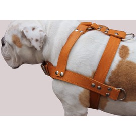 Orange Genuine Leather Dog Pulling Harness 33"-37" Chest Size 1.5" Wide Straps, Cane Corso Rottweiler