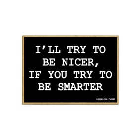 Honey Dew Gifts, I'll Try to Be Nicer If You Try to Be Smarter, Fridge Magnets, Refrigerator Magnet, Funny Magnets, Locker Decorations, Funny Coworker Gifts, 2.5 inch by 3.5 inch, 754520