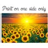 Txtains Sunflower Flower Fields Farm Sunset Spring Summer Nature Landscape