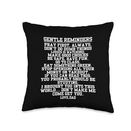 Don’t Do Stupid Stuff Love Heart Dad Funny Sarcastic Witty Throw Pillow