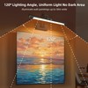 Picture Lights for Wall Battery Operated with Remote Timer, 16in