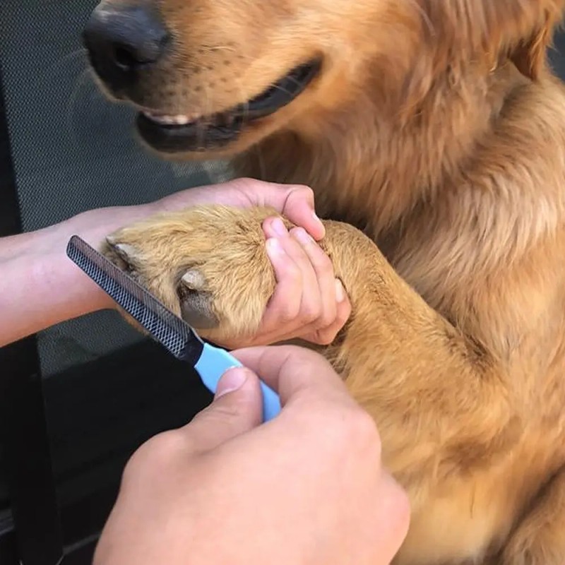 Perrísimo Corta Uñas Y Lima Para Uñas Para Perros Y