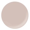 Palms Graceful Color Gel 3g 096 Sheer Nude Beige