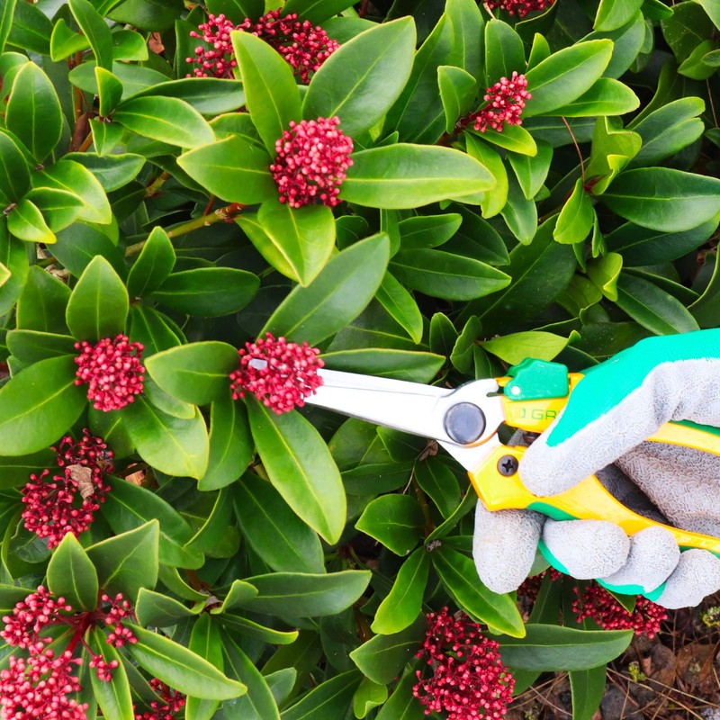 GRÜNTEK Colibri Long Secateurs 7.6", Pruning Shears with Centered Precision