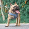 Wocharm Dogs Breathable Harness with Leash Adjustable Outdoor Walking Pet