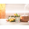 Abbott Collection Pastel Florals Votive/Tealight Candle Holder - Glass, Multicolor