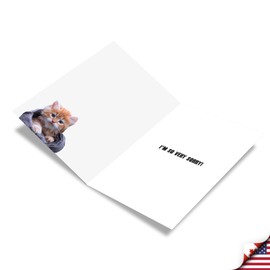 NobleWorks Hilarious Sorry Greeting Card with 5 x 7 Inch Envelope (1 Card) Cat Terrible Mistake C8149SRG