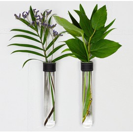 TWILG - Test tubes for flowers with black leather and wall magnet - set of 2 - flower vase, magnetic vase, test tubes with stand, test tube vase wall, magnetic vase