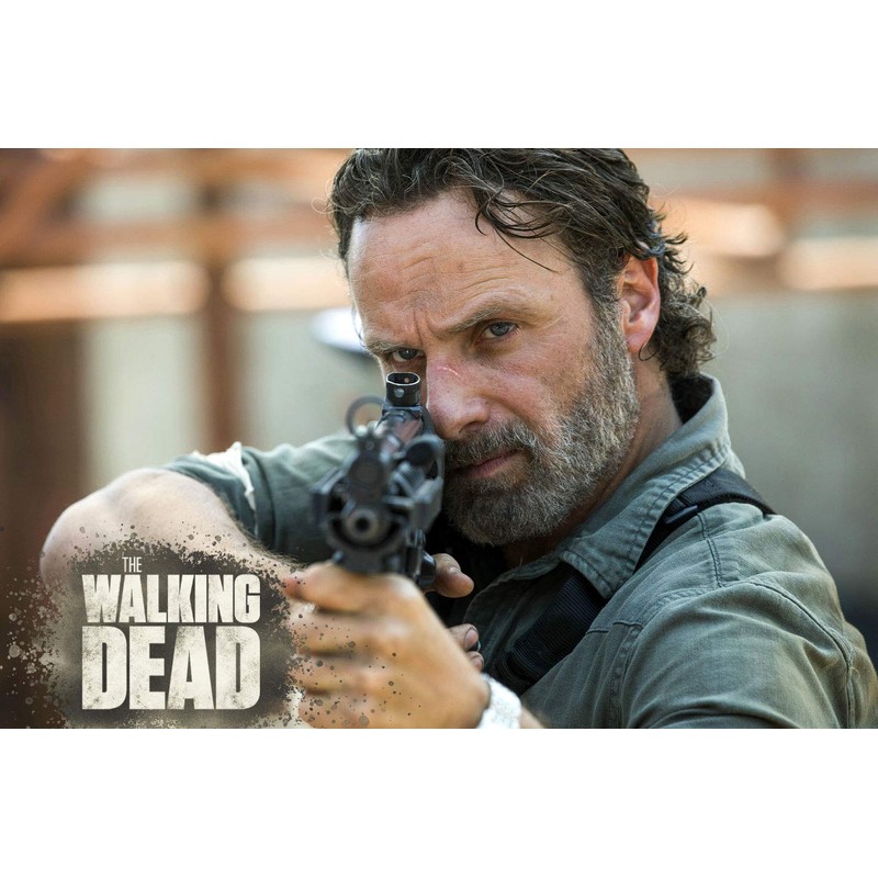 The Walking Dead - Staffel 8 [6 DVDs]