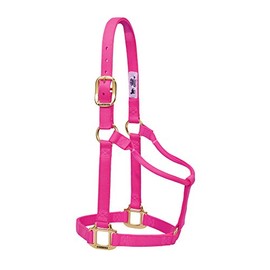 Weaver Leather Original Non-Adjustable Nylon Horse Halter, Yearling, Diva Pink