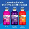 Fraganzia Multi-Purpose Cleaner, CloroxPro, Spring Scent, 175 Fluid Ounces (Package