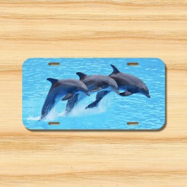Amel Dolphin License Plate Front Black Auto Tag Plate Dolphino Bottle Nose Ocean sea