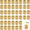 Belvanr Rock Wool Cultivation Pack of 50 Rock Wool Cubes,